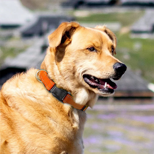 Reflective Dog Collar Strap With Adjustable Safety Nylon Pet Collar Pet Traction Rope Suitable For Small And Medium-Sized Pets
