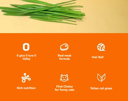Cat grass cat strips chicken flavor cat snacks 15 grams per adult cat kitten nutrition supplement cat strips cat wet food