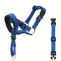 2-Pack Adjustable Nylon Dog Muzzles with Reinforced Stitching–Leader Halter with Safety Strap for Training and Pull-Free Walks