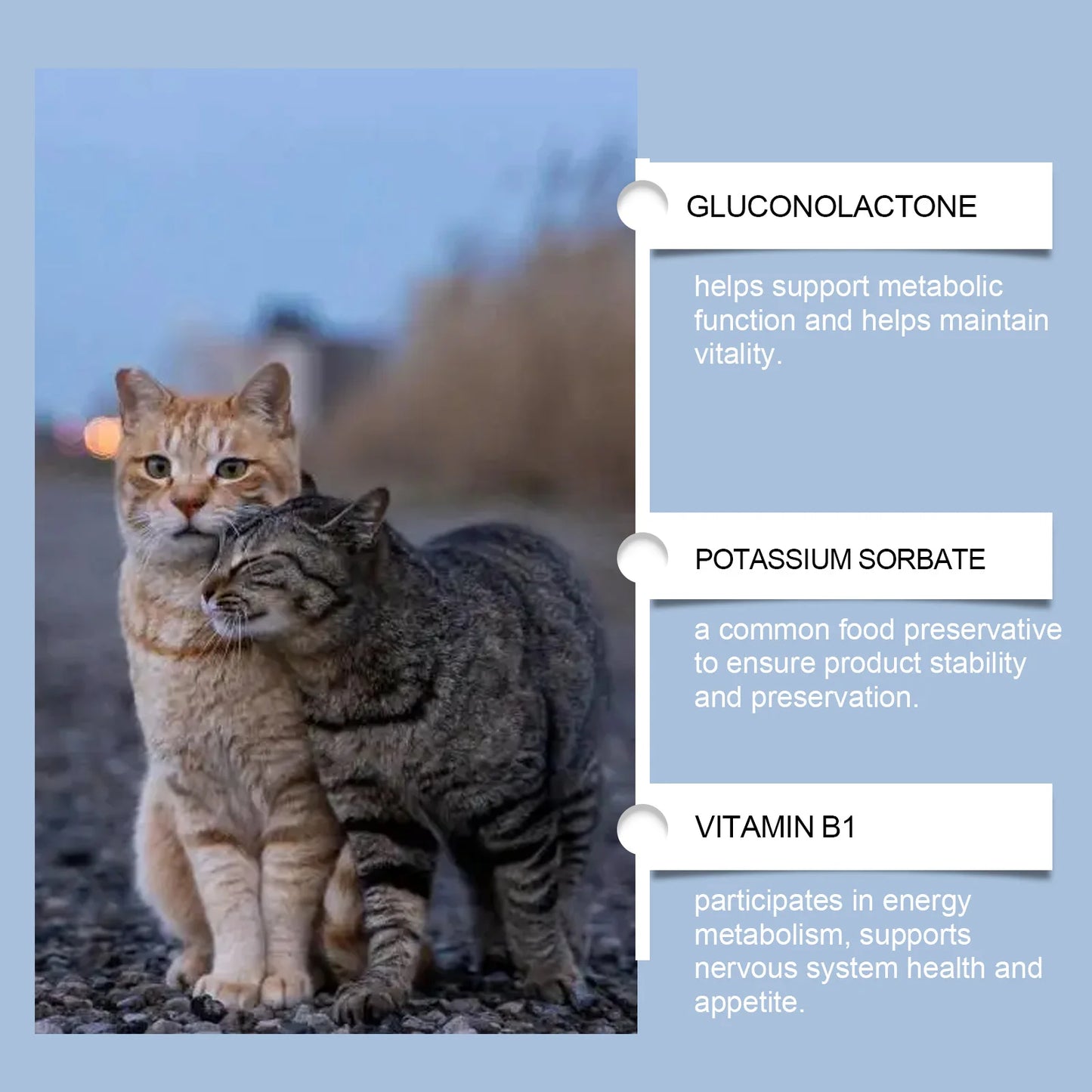 Yegbong 50ml Cat Vitamin Supplement Daily Care to Help Nutrition, Promote Growth, and Support Cat's Recovery, Vitamin Care Drops