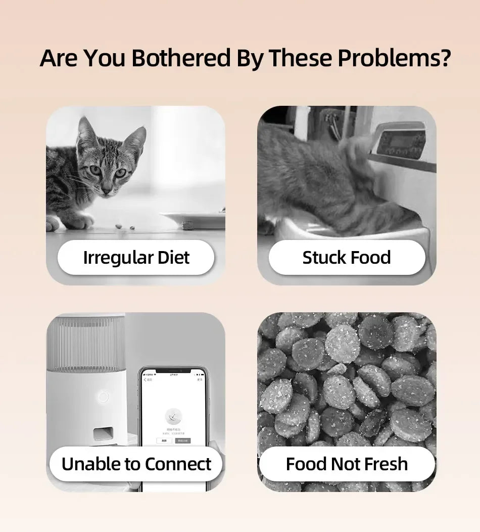 2 Meals Timed Automatic Dog Feeder Dual Bowls Smart Cat Food Dispenser Wet Dry Pet Food Dispenser Pet Feeder Cat Accessories