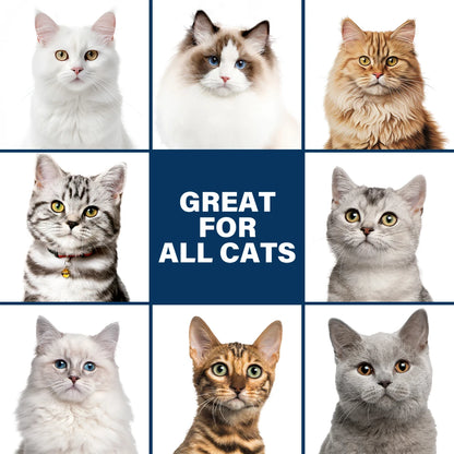 Gentle Mild Cat Shampoo - Non-Irritating Skin-Friendly, Moisturizing Deodorizing, Nourishing Softening for Healthy Shiny Fur