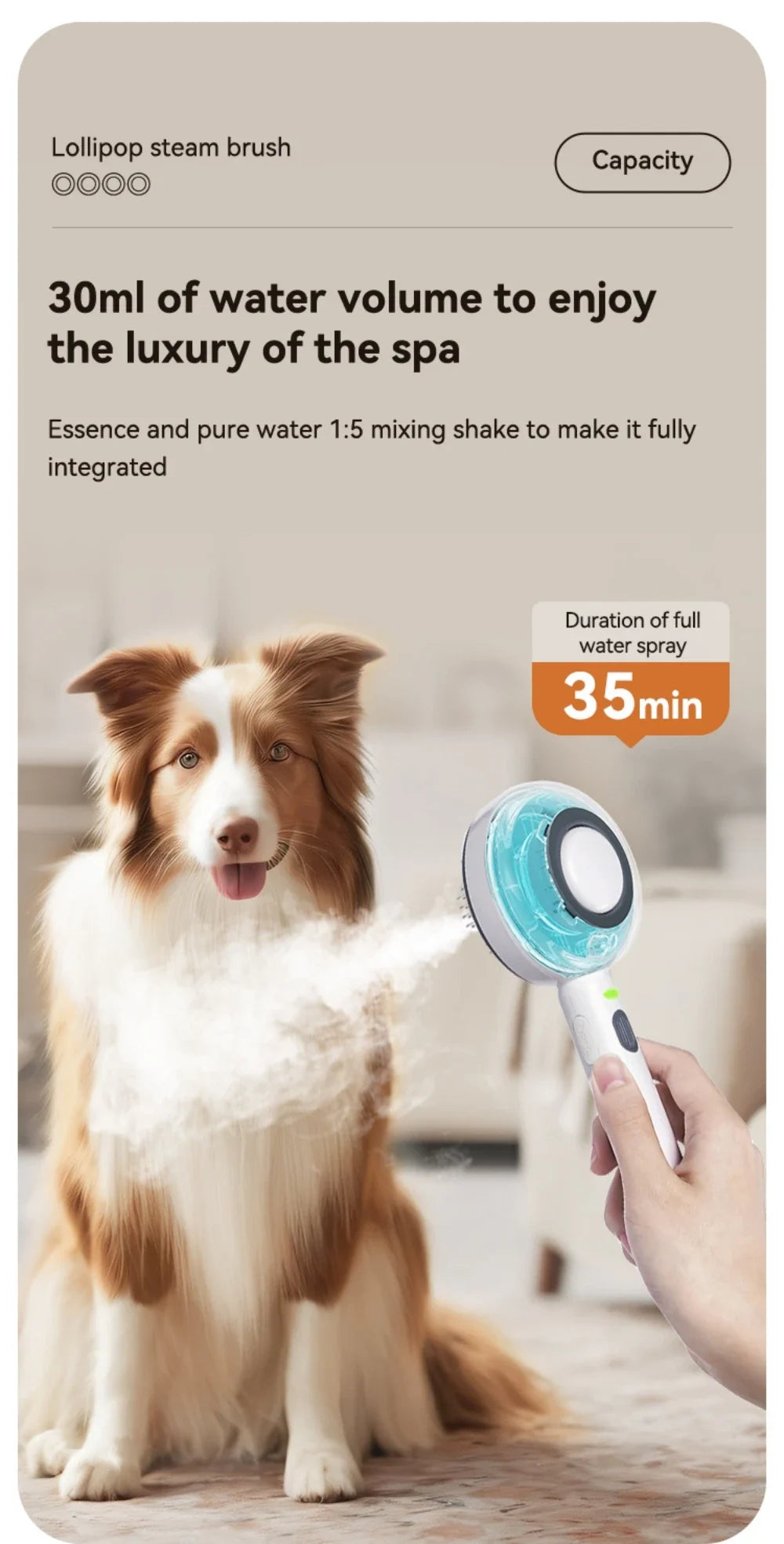 Pet spray Comb Cat Cleaning Massage Comber Brush Removing Float Needle Comb Anti Flying Hair Spray Cat Dog Comb Beauty Products