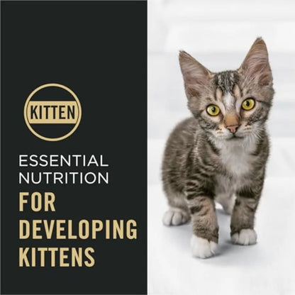 Kitten Food Complete Essentials Cat Kibble Shredded Blend Chicken and Rice Formula