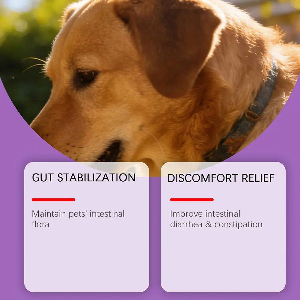 1/3PCS Dog Gut Health Powder 100g Probiotic Intestinal Support Bacon Flavor Chicken Meal Digestive Aid Joint Comfort Immune Care