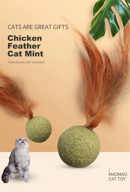 Pet Catnip Toys Edible Catnip Ball Safety Healthy Cat Mint Cats Home Chasing Game Toy Products Clean Teeth Cat Mint Ball