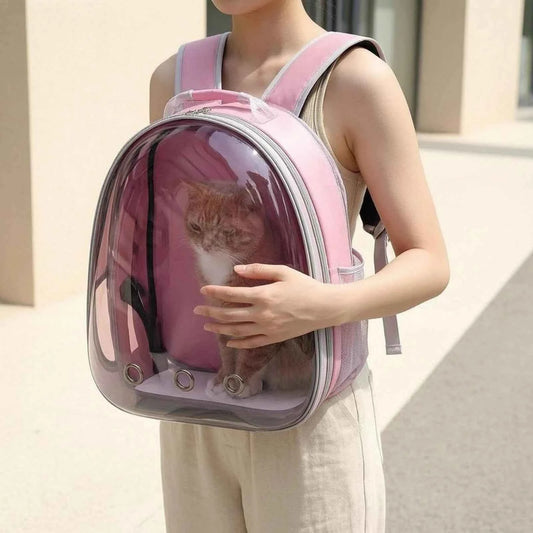 Cat Bubble Backpack Carrier Mesh Pocket Transparent Pet Carrier Backpack Ventilation Ventilated