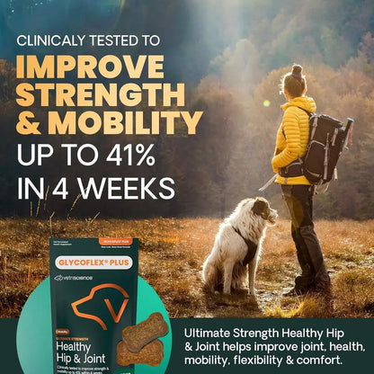 GlycoFlex Ultimate Strength Healthy Hip & Joint Glucosamine Supplements for Dogs, with MSM, Chondroitin & Green-Lipped Mussel, S