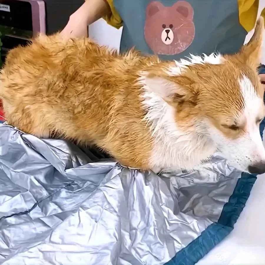 Portable Folding Dog Hair Dryer Efficient Pet Drying Bag for Cats And Dogs Winter Pet Cleaning Accessory Blow Bag