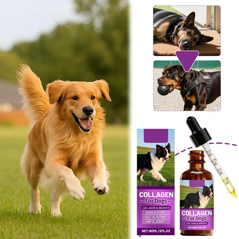 Dog Collagen Absorbable Drops Pet Cleaning & Nutritional Care - Skin Hair Intestinal Joint Health Support Daily Pet Supplement