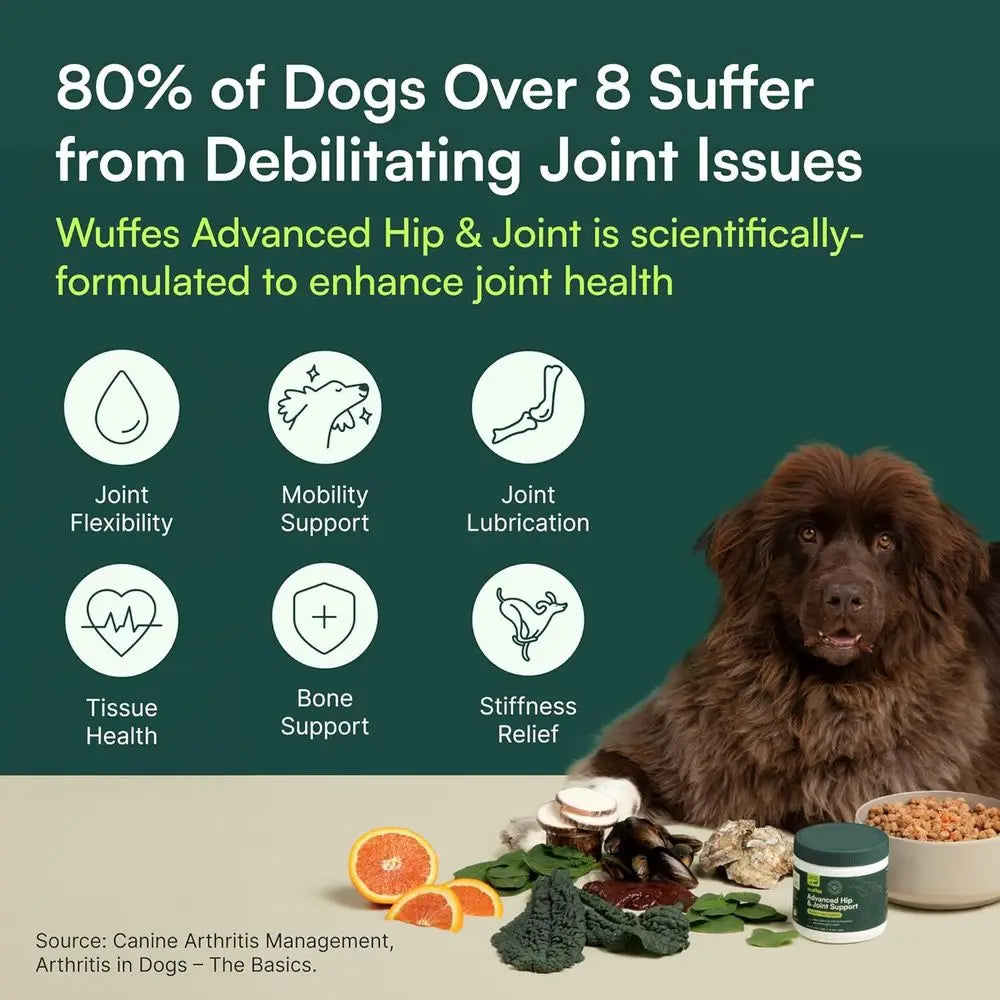 Chewable Dog Hip & Joint Supplement - Glucosamine & Chondroitin Chews - Dog Joint Supplements & Vitamins - Extended Joint Care (
