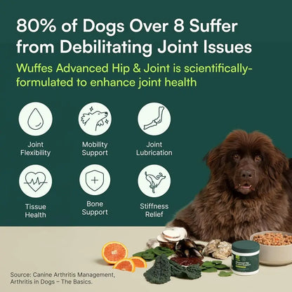 Chewable Dog Hip & Joint Supplement - Glucosamine & Chondroitin Chews - Dog Joint Supplements & Vitamins - Extended Joint Care (