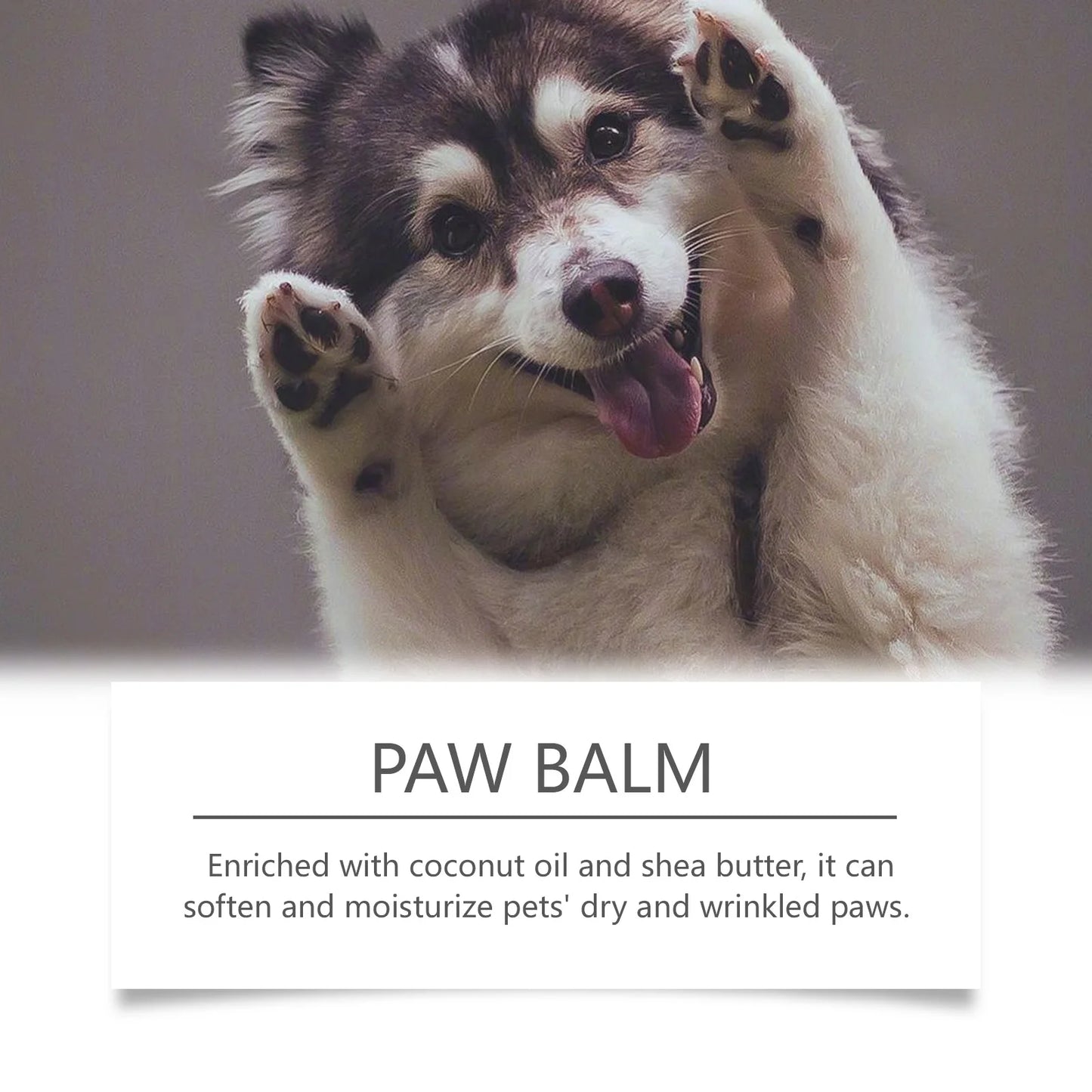 Paw Balm Repair Damaged Dog Paws Anti-Crack Increase Elasticity Strengthen Paw Health Reduce Dryness Moisturizing Pet Care 30g