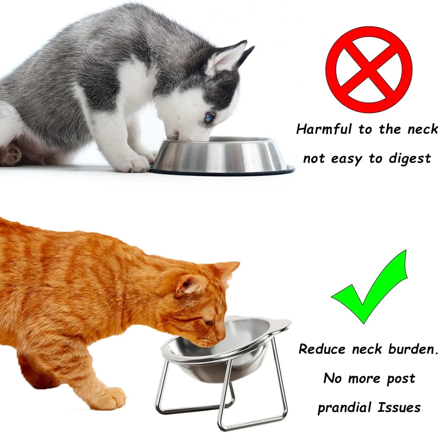 Stable Raised Cat Bowls Elevated 15° Neck Guard Dog Bowls Shatter-resistant 304 Stainless Steel Cat Food Bowl for Puppy and Cat