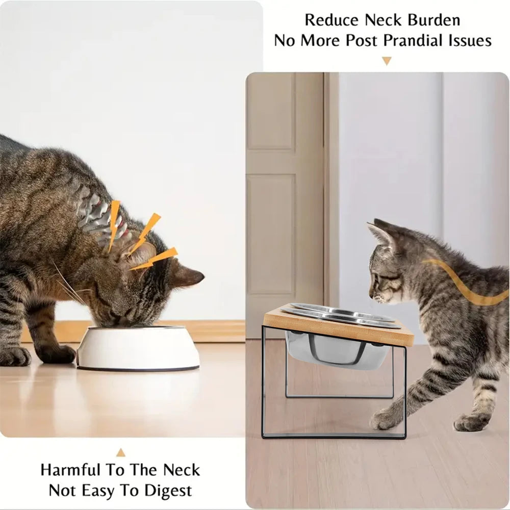15° tilted heightened pet bowl heightened dog bowl with stainless steel food bowl feeder suitable for cats and puppies