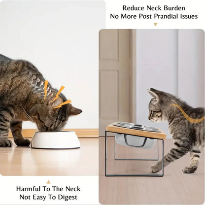 15° tilted heightened pet bowl heightened dog bowl with stainless steel food bowl feeder suitable for cats and puppies