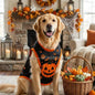 26 1PC Personalized Dog Jersey, Pet Halloween Pumpkin Lamp Dog Vest Puppy Dog Jersey, Halloween Dog Cat Vest