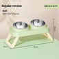 Stainless Steel Foldable Pet Bowl Double Dish - Elevated Feeder with Neck Support Anti-Tip Design for Cats Dogs