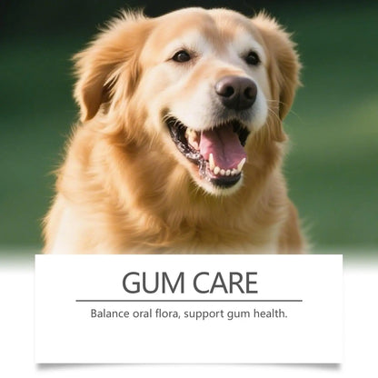 100g Dog Tooth Powder Freshen Breath Natural Plaque Tartar Remover Probiotic Teeth Cleaning Dental Care For Puppy Small Large