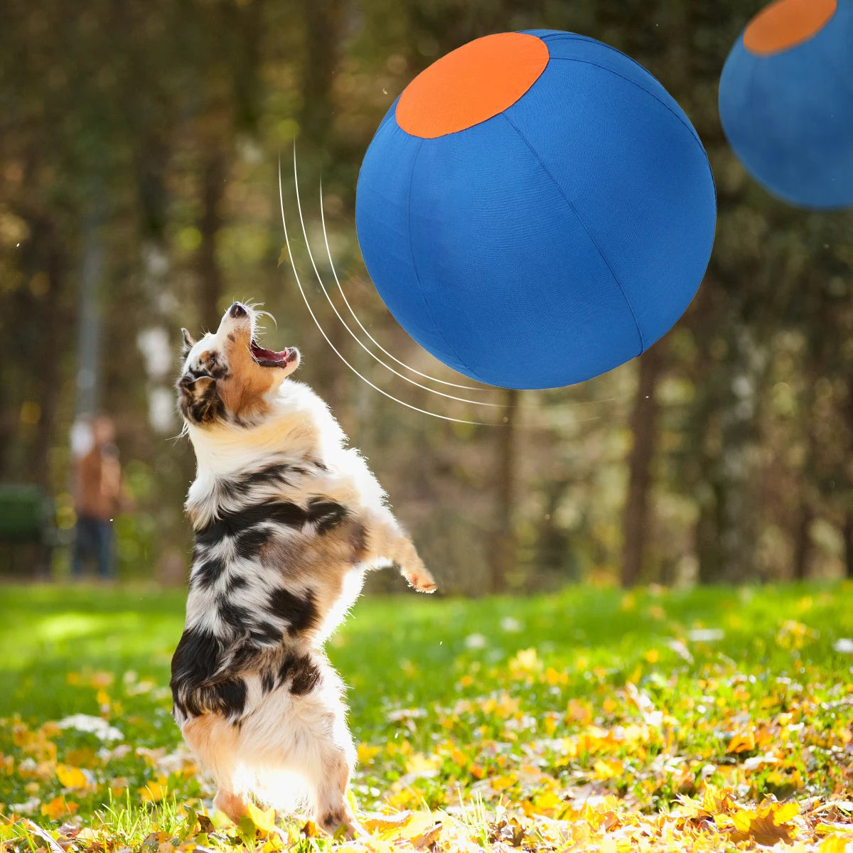Outdoor Dog Toy Inflatable Big Ball Interactive Games Balls Pet Golden Relieve Fretful Boredom Country Dog Corgi Training Ball