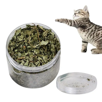 Natural Catnip Organic Premium Catmints Cat Toy Cataria For Eliminating Cats Hairballs Absorbing Foods Vitamin Supplement