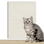 PLOVG Wall Self-Adhesive Anti Cat Scratch Sofa DIY Cats Scratch Protection Paws Sharpen Trimmable Carpet Cats Scratch Board ﻿