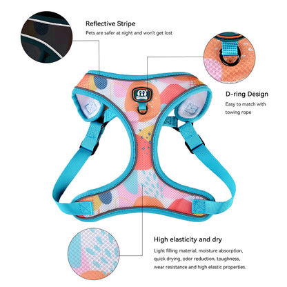 New Arrives Adjustable Soft Mesh With Fashionable Design Pet Harness And Leash Set