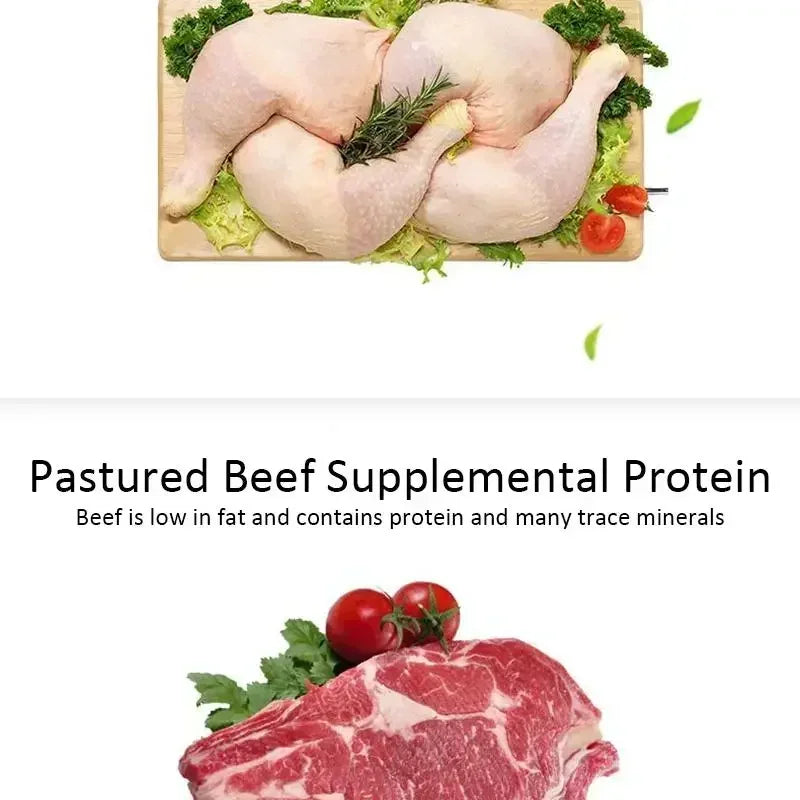 Dog Bruxism Stick Six Star Convenient Bring Along Storage Fresh Breath Easy To Chew Adult Dogs Puppy Training Rewards Pet Treats