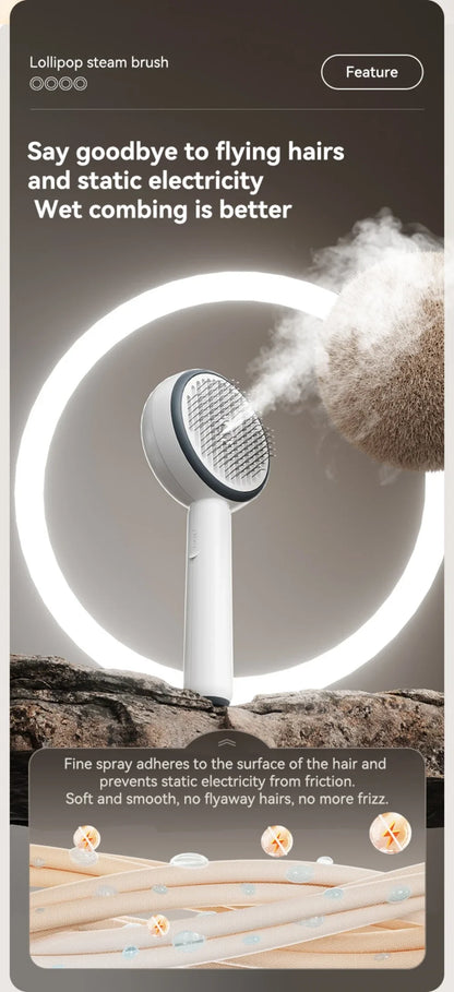 Pet spray Comb Cat Cleaning Massage Comber Brush Removing Float Needle Comb Anti Flying Hair Spray Cat Dog Comb Beauty Products