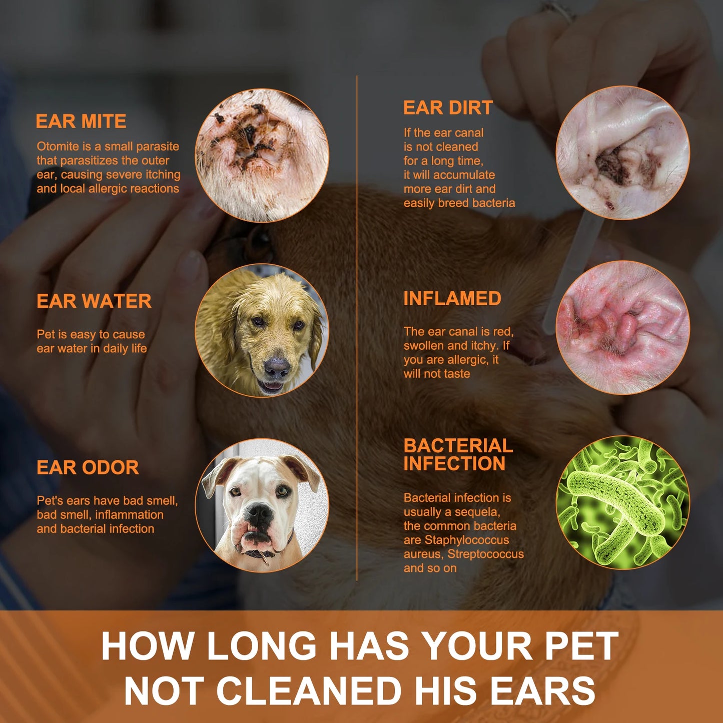 YEGBONG 2set Pet Ear Care Kit with Mite Control Itch Relief Hypoallergenic Cleaning Solution Cotton Swabs for Dogs and Cats Ear
