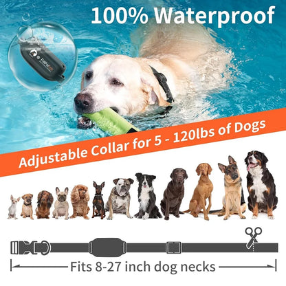 No Shock Dog Training Collar with Remote 3300ft Range,Vibrating Dog Collar Waterproof&Rechargeable Electric Collar for Dogs