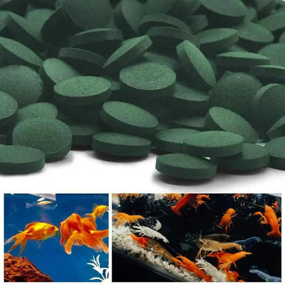100pcs High Purity Spirulina Tablets Spiral Seaweed Enrichment Favorite Pets Food Fish Crystal Red Shrimp Fish Food Aquarium