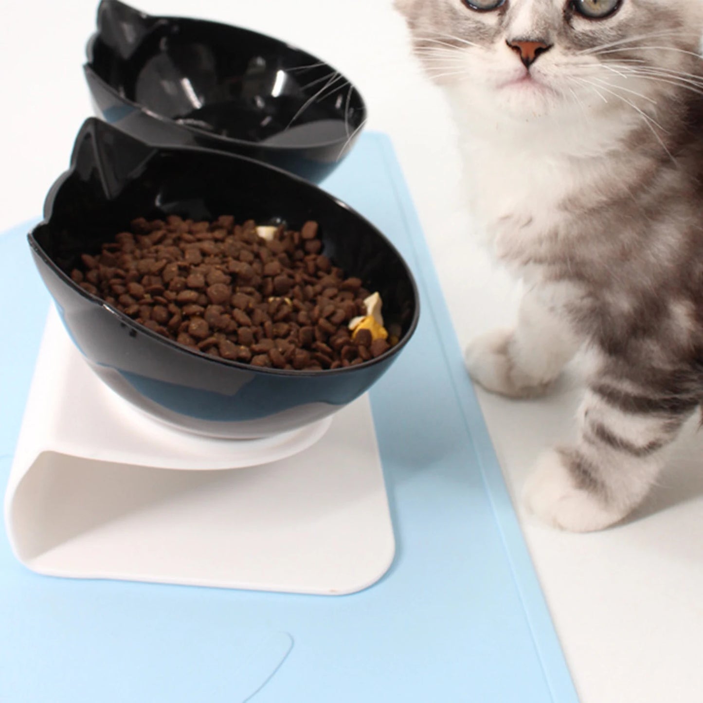 Non-Slip Double Cat Bowl Dog Bowl With Stand Pet Feeding Cat Water Bowl For Cats Food Pet Bowls For Dogs Feeder Product Supplies