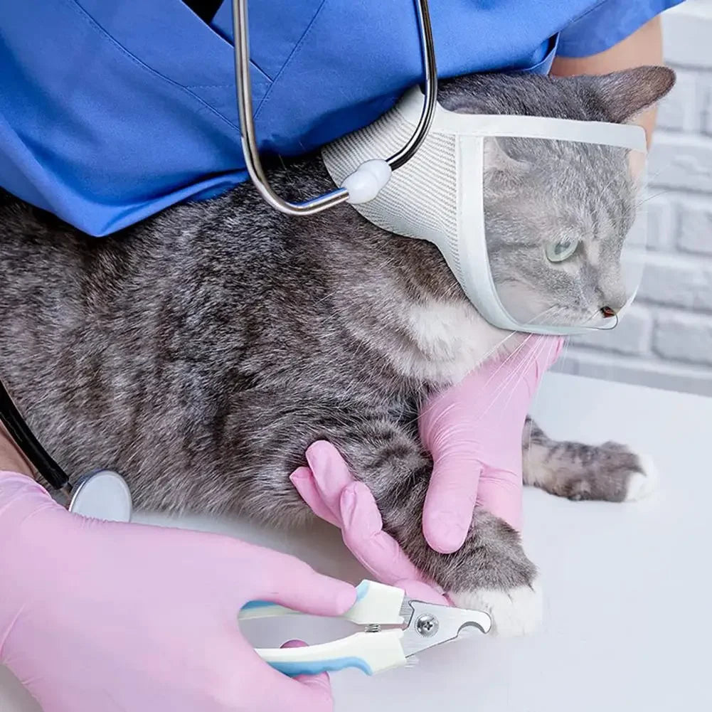 Pet Muzzle Anti-bite Adjustable Breathable Anti-scratch Small Pet Transparent Grooming Muzzle Cat Supplies