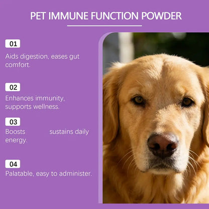 Bacon Flavor Dog Probiotic Powder Gut Flora Balance Digestive Aid Intestinal Health Care For Puppy Adult Dogs