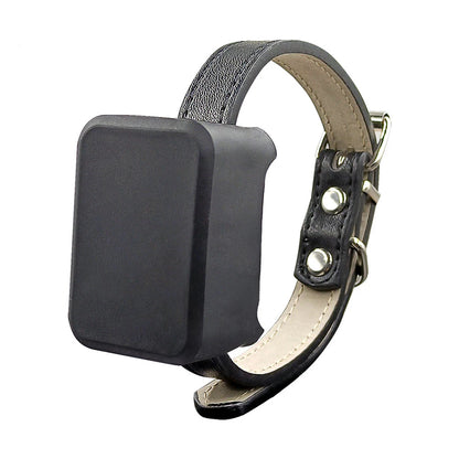 Pet Mini 4G GPS Tracker Kids Personal Locator Car Start Stop Tracking Monitor 1200mA Free Online Website APP Safety System