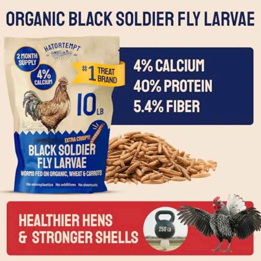 10lb Dried Black Soldier Fly Larvae - More Calcium Than Mealworms for Chickens - High Protein Chicken Feed Treats for Laying He