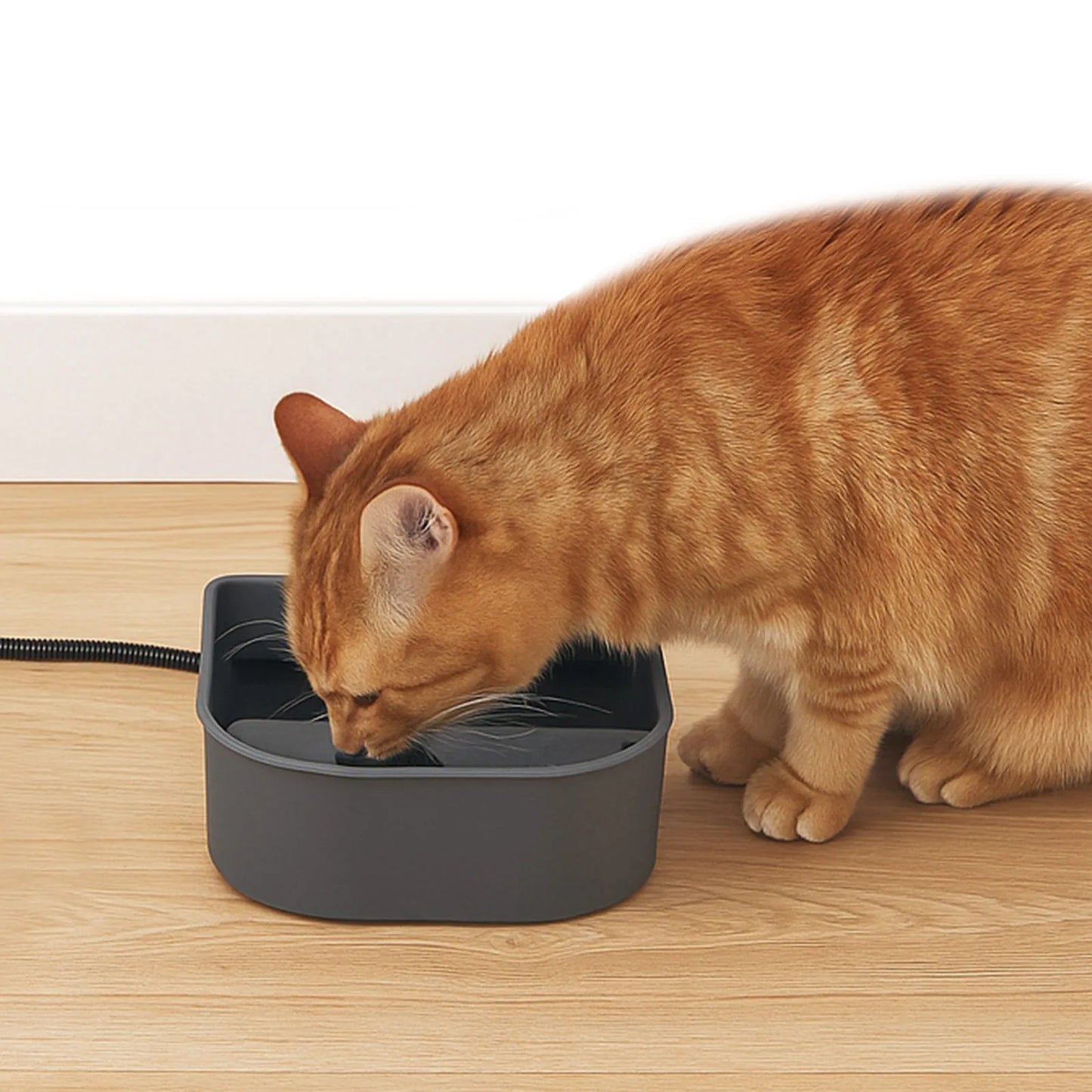 Plastic Heated Water Bowl 1L Hanging Dog Water Bowl Pet Heated Bowl for Rabbits Dogs Cats and All Breed Sizes