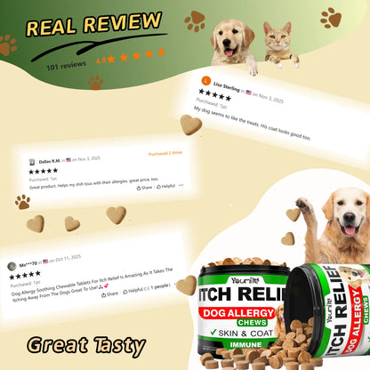 Dog Itch Relief Allergy Chews, Dog Itching, Used For Immune Support+Gut Health+Soothing Skin Itching And Ear Itching+Dog