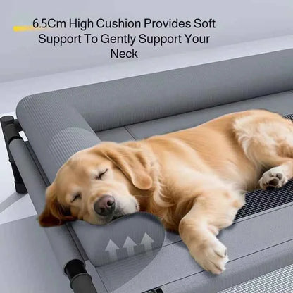 Elevated Cooling Pet Bed Breathable Dog Cot With Pillow Pad Four Seasons Use Moisture Proof Indoor Bed For Dogs And Cats