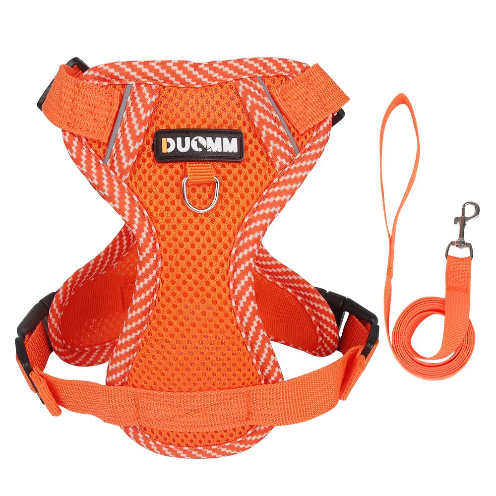 Escape Proof Cat Harness with Leash, Reflective Adjustable Mesh Vest for Cats and Kittens, Safe Outdoor Walking Training Harness