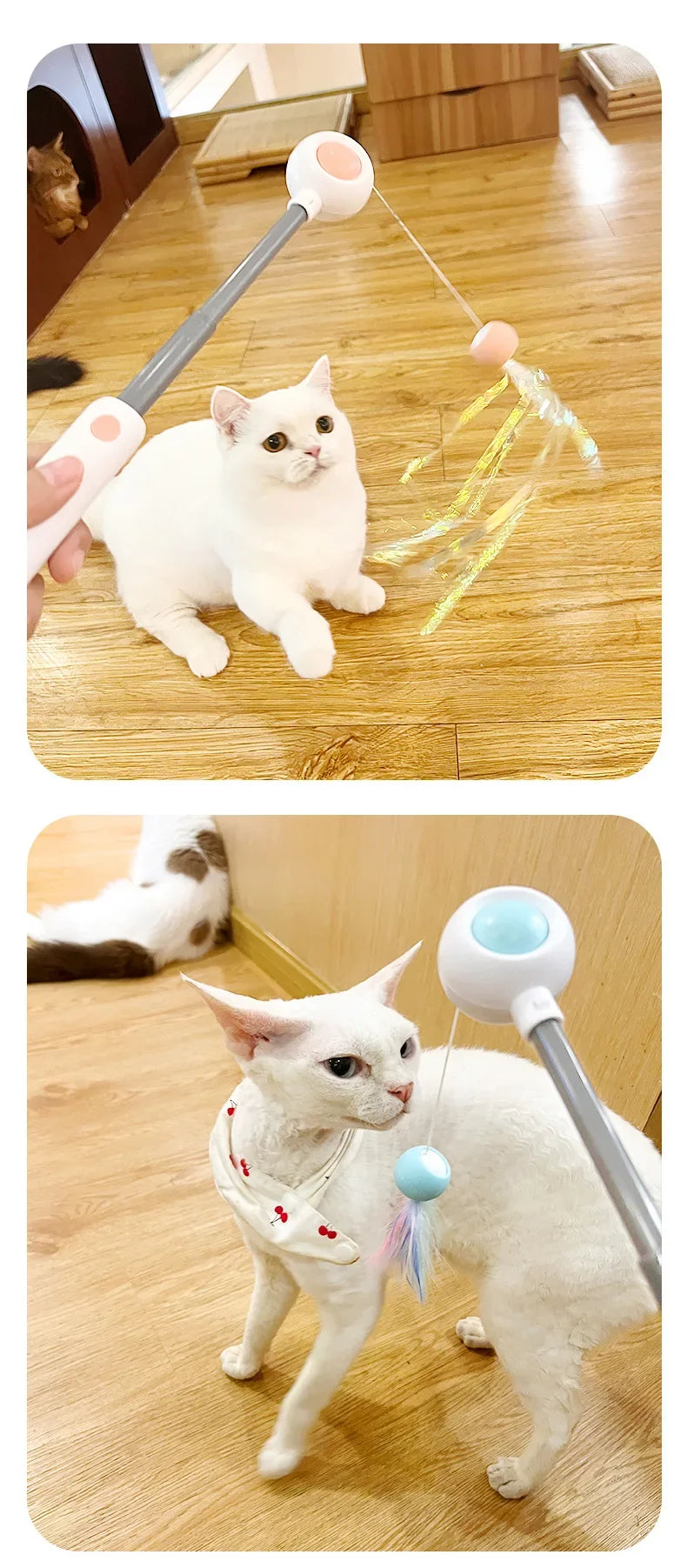 Gravity Cat Wand Interactive Feline Toy Self Play Feather Bell  Catnip Kitten Entertainment Pet Accessory Playtime Wand Fun Toy