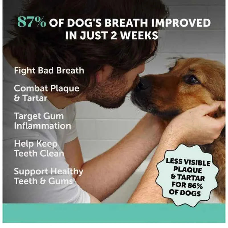 Natural Herbal Probiotic Oral Care Powder for Dogs Balance Oral Bacteria Gently Clean Teeth Residue for Long-lasting Fresh Mouth