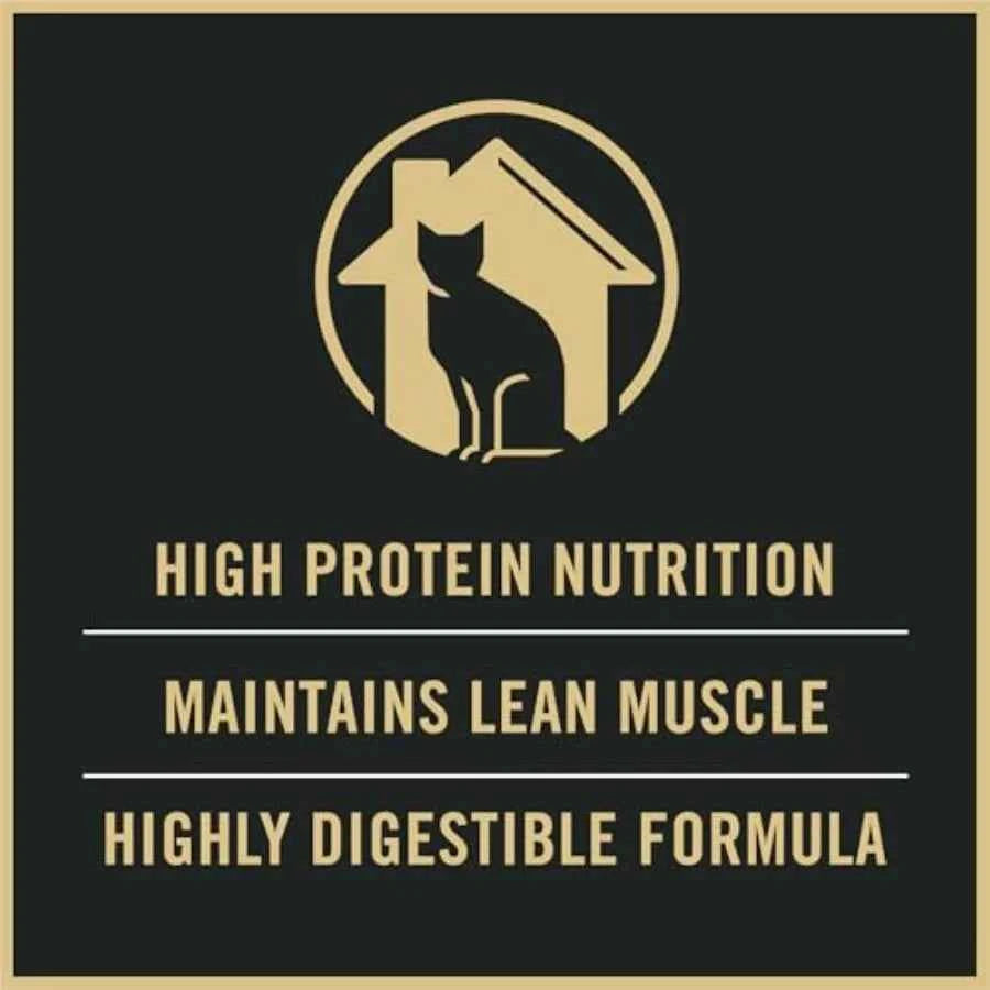 Adult Indoor Chicken and Rice Formula High Protein Cat Food - 16 lb. Bag