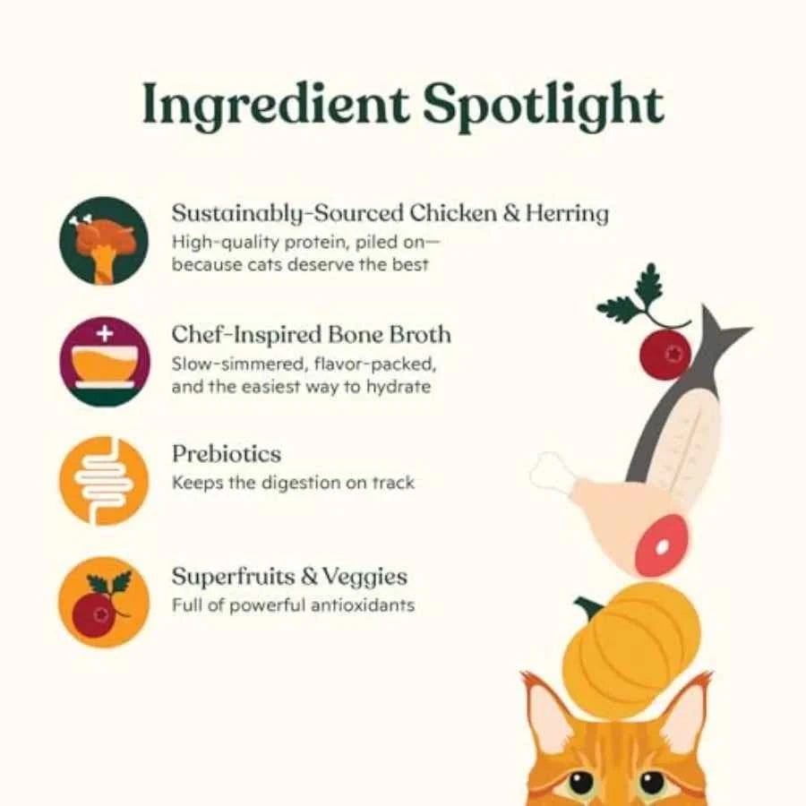 Premium Wet Cat Food Grain-Free Pate Cans Chicken and Herring - 24 Pack 5.5 Ounce