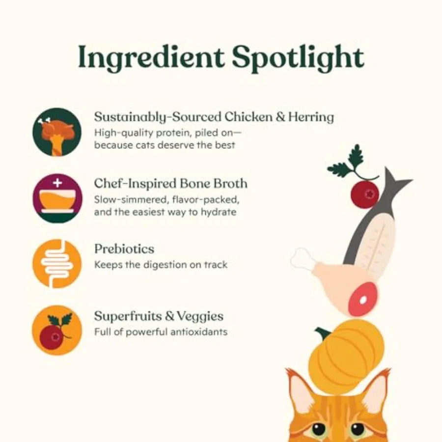 Premium Wet Cat Food Grain-Free Pate Cans Chicken and Herring - 24 Pack 5.5 Ounce