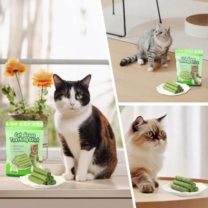 5PCS Cat Grass Teeth Grinding Stick Pet Snacks Hairball Removal Molars Ready To Eat Cat Baby Cat Teeth Cleaning Sticks