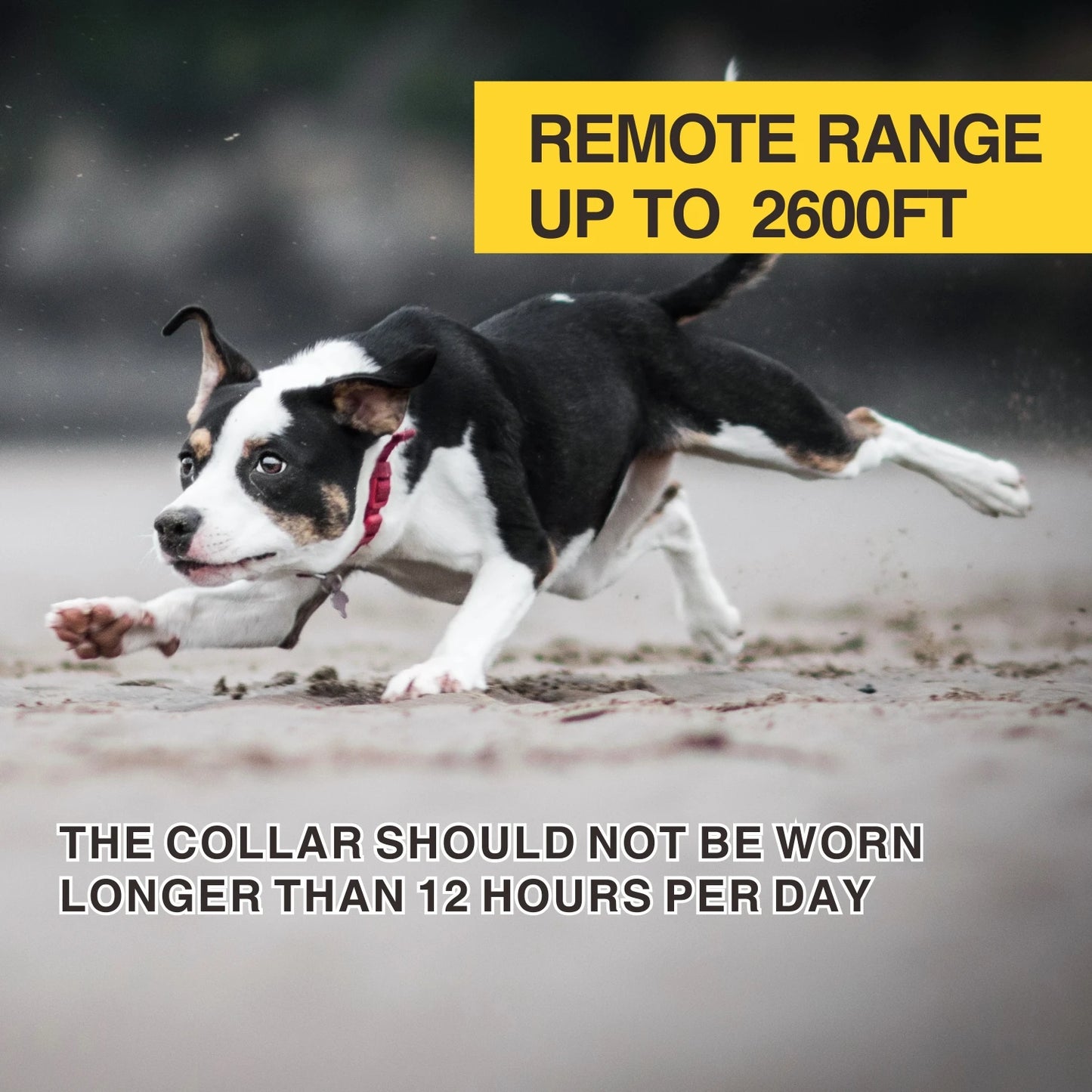 Dog Training Bark Collar 2 in 1 No Bark Control Collar 800M Rechargeable Dog Electric Collar Remote Waterproof Dog Pet Product
