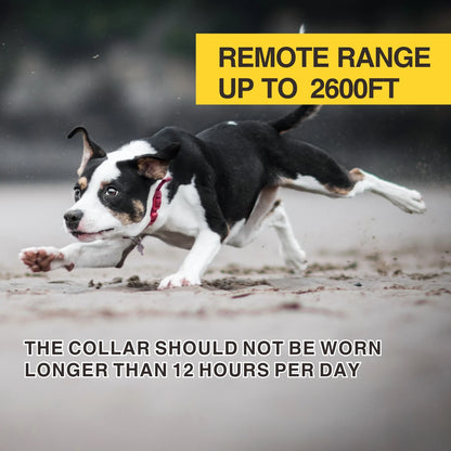 Dog Training Bark Collar 2 in 1 No Bark Control Collar 800M Rechargeable Dog Electric Collar Remote Waterproof Dog Pet Product