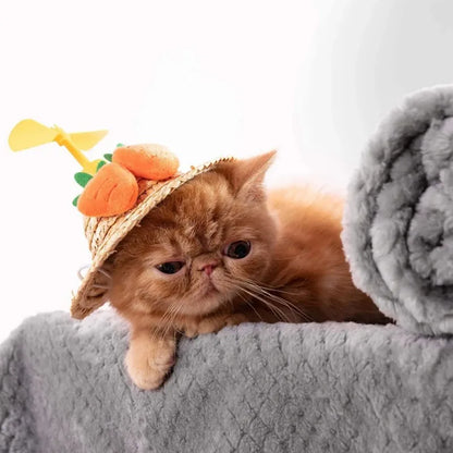 Soft Pet Blanket Plush Dog Sleeping Blanket Solid Color Washable Sofa Pad Portable Warm Cat Bed Blanket Home Carpet For Winter